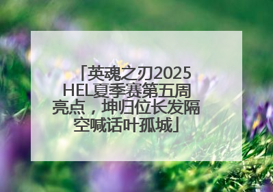 英魂之刃2025HEL夏季赛第五周亮点，坤归位长发隔空喊话叶孤城