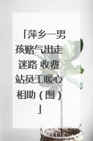 萍乡一男孩赌气出走迷路 收费站员工暖心相助（图）