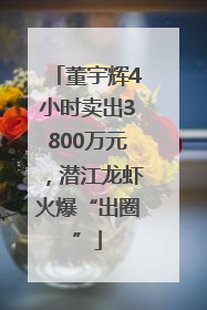 董宇辉4小时卖出3800万元，潜江龙虾火爆“出圈”