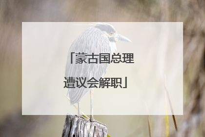 蒙古国总理遭议会解职