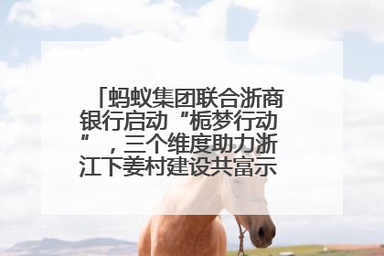 蚂蚁集团联合浙商银行启动“栀梦行动”，三个维度助力浙江下姜村建设共富示范区示范点