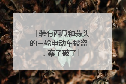 装有西瓜和蒜头的三轮电动车被盗，案子破了