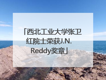 西北工业大学张卫红院士荣获J.N.Reddy奖章