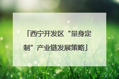 西宁开发区“量身定制”产业链发展策略
