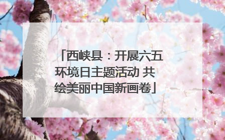 西峡县：开展六五环境日主题活动 共绘美丽中国新画卷