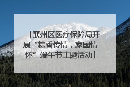 襄州区医疗保障局开展“粽香传情，家国情怀”端午节主题活动