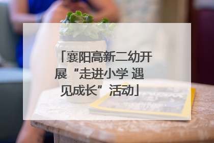 襄阳高新二幼开展“走进小学 遇见成长”活动