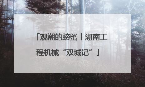 观潮的螃蟹丨湖南工程机械“双城记”