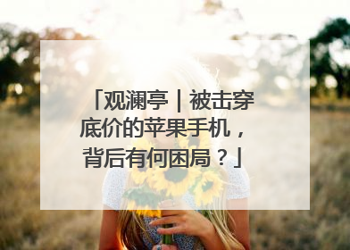 观澜亭｜被击穿底价的苹果手机，背后有何困局？