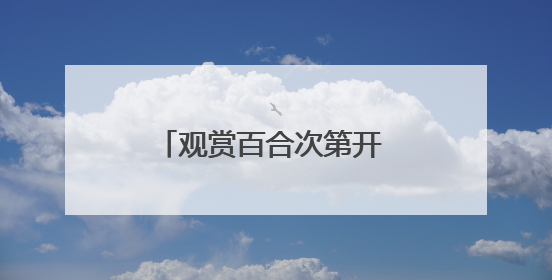 观赏百合次第开 农旅融合新样本 “胜日寻芳·花漾兰州”系列报道之七