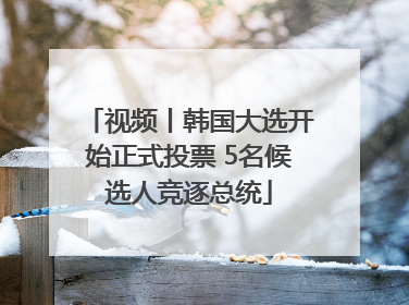 视频丨韩国大选开始正式投票 5名候选人竞逐总统