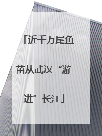 近千万尾鱼苗从武汉“游进”长江