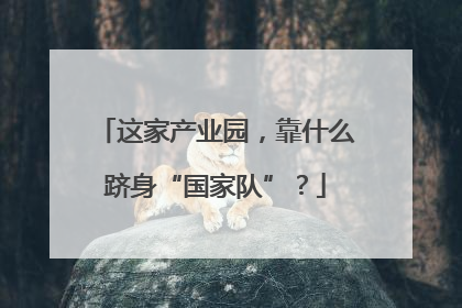 这家产业园，靠什么跻身“国家队”？