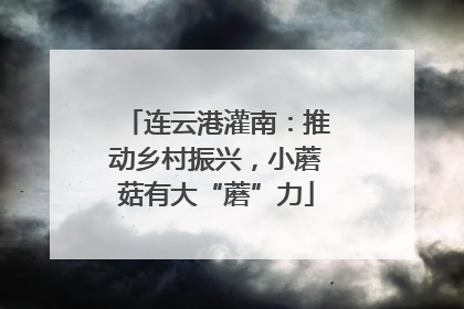 连云港灌南：推动乡村振兴，小蘑菇有大“蘑”力