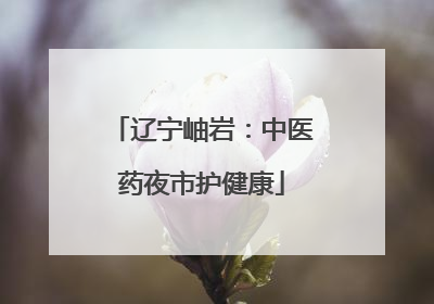 辽宁岫岩：中医药夜市护健康