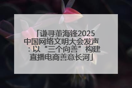 谦寻董海锋2025中国网络文明大会发声：以“三个向善”构建直播电商善意长河