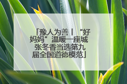 豫人为善丨“好妈妈”温暖一座城 张冬香当选第九届全国道德模范