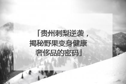 贵州刺梨逆袭,揭秘野果变身健康奢侈品的密码