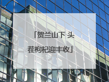 贺兰山下 头茬枸杞迎丰收