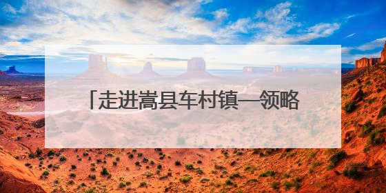 走进嵩县车村镇—领略“黄精之乡”的魅力
