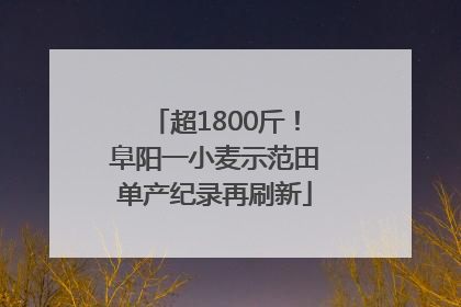 超1800斤！阜阳一小麦示范田单产纪录再刷新