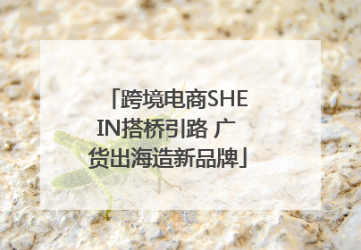 跨境电商SHEIN搭桥引路 广货出海造新品牌