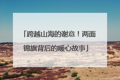 跨越山海的谢意！两面锦旗背后的暖心故事