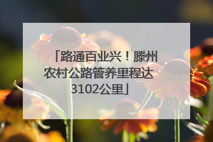 路通百业兴！滕州农村公路管养里程达3102公里