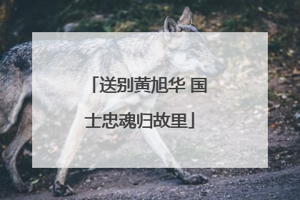 送别黄旭华 国士忠魂归故里