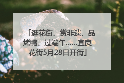 逛花街、赏非遗、品烤鸭、过端午……宜良花街5月28日开街