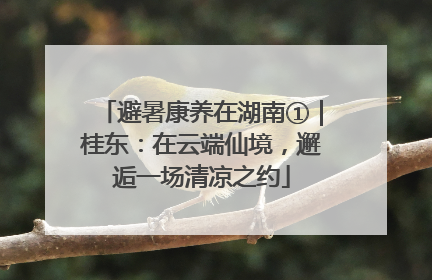 避暑康养在湖南①｜桂东：在云端仙境，邂逅一场清凉之约