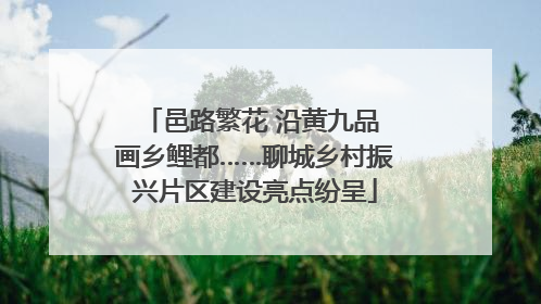邑路繁花 沿黄九品 画乡鲤都……聊城乡村振兴片区建设亮点纷呈