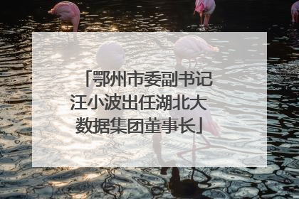 鄂州市委副书记汪小波出任湖北大数据集团董事长