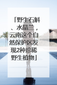 野生石斛、水晶兰，云南这个自然保护区发现2种珍稀野生植物