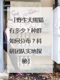 野生大熊猫有多少？种群如何分布？科研团队实地探秘