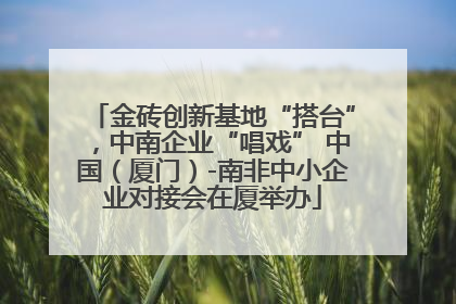 金砖创新基地“搭台”，中南企业“唱戏” 中国（厦门）-南非中小企业对接会在厦举办
