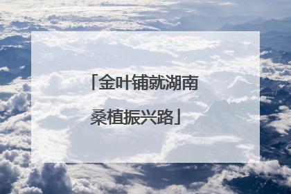 金叶铺就湖南桑植振兴路