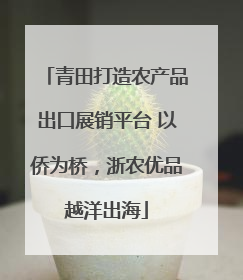 青田打造农产品出口展销平台 以侨为桥，浙农优品越洋出海
