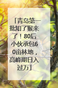 青岛第一批知了猴来了！80后小伙承包60亩林地，高峰期日入过万