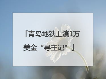 青岛地铁上演1万美金“寻主记”