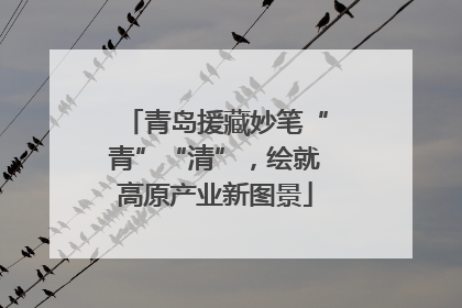 青岛援藏妙笔“青”“清”，绘就高原产业新图景