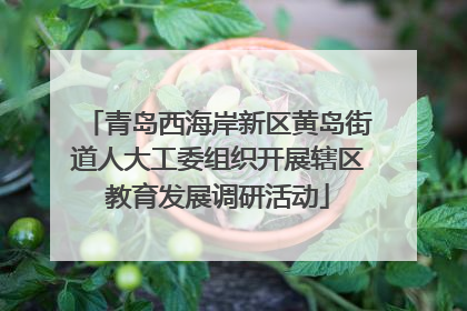 青岛西海岸新区黄岛街道人大工委组织开展辖区教育发展调研活动