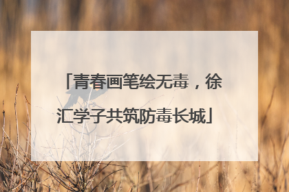 青春画笔绘无毒，徐汇学子共筑防毒长城