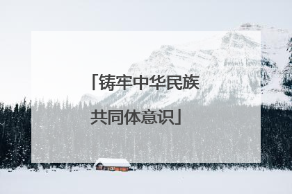铸牢中华民族共同体意识