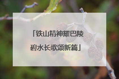 铁山精神耀巴陵 碧水长歌颂新篇