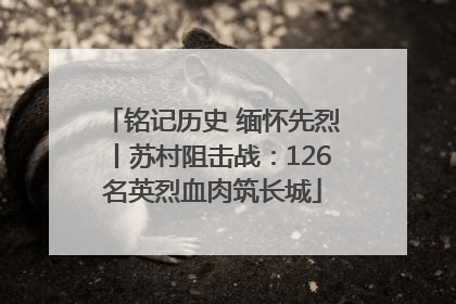 铭记历史 缅怀先烈丨苏村阻击战：126名英烈血肉筑长城