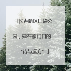 长春新区口袋公园，建在家门口的“诗与远方”