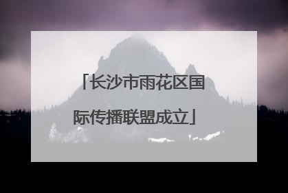 长沙市雨花区国际传播联盟成立