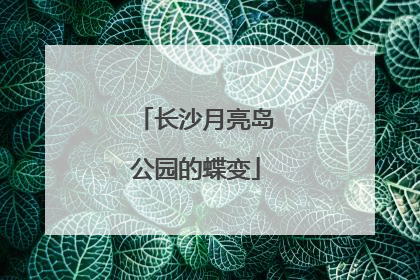 长沙月亮岛公园的蝶变
