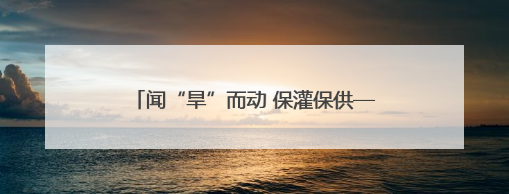 闻“旱”而动 保灌保供——陕西抗旱一线走访见闻